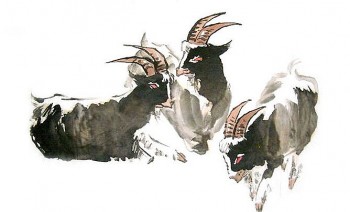 tu vi tuoi mui thang 102021 xui xeo du duong