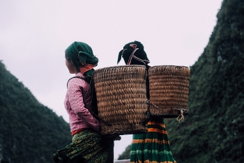 Những phụ nữ người Mông cõng "nguồn sống" trên lưng