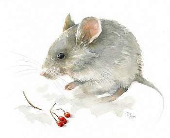 tu vi tuoi ty cong viec suc khoe tinh yeu tuan moi 1110 den 17102021