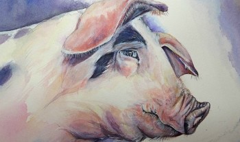 tu vi tuan moi 1110 den 17102021 tuoi hoi kiem tien de nhu tro ban tay