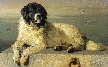 tu vi tuan moi 1110 den 17102021 tuoi tuat de mat tien bac