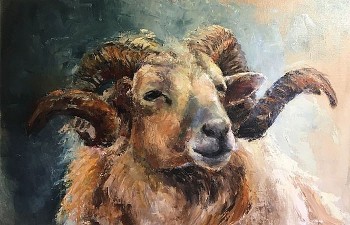 tu vi tuan moi 1110 den 17102021 tuoi mui tim thay nhieu co hoi kiem tien