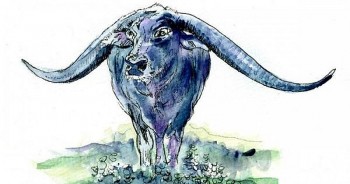 tu vi tuan moi 2510 den 31102021 tuoi suu su nghiep khoi sac