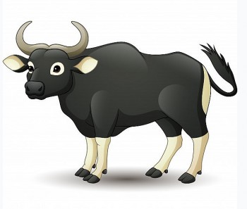 tu vi tuoi suu thang 112021 nhieu bien co trong cong viec