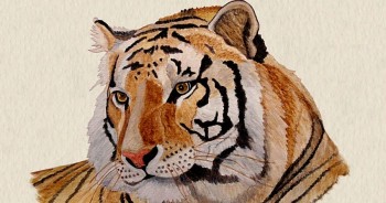 tu vi tuoi dan thang 112021 cat tinh nang do nhieu phuong dien