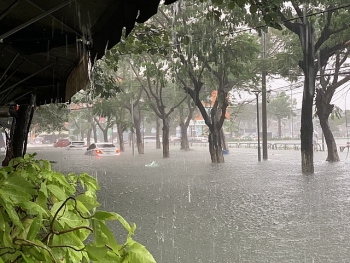 Tin áp thấp nhiệt đới (suy yếu từ bão số 10): Gây mưa lớn từ Huế đến Quảng Ngãi