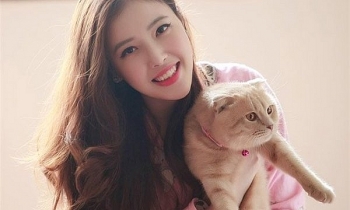 tu vi chiem tinh ngay moi 10112020 ve tinh yeu cua 12 con giap mao tinh duyen vuong sac