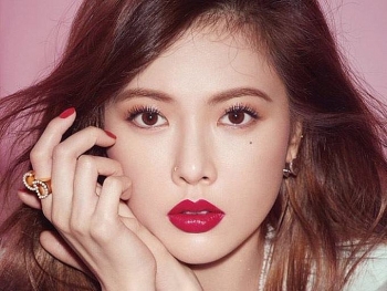 tu vi chiem tinh hom nay 20112020 ve cong viec cua 12 con giap thin duoc quy nhan nang do