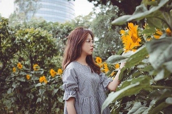 tu vi chiem tinh tuan moi 2311 den 29112020 ve tinh yeu cua 12 con giap ngo co the nhan duoc tin vui dang chuc mung