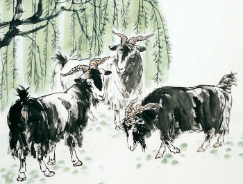 tu vi tuan moi 811 den 14112021 tuoi mui su nghiep len xuong tram bong