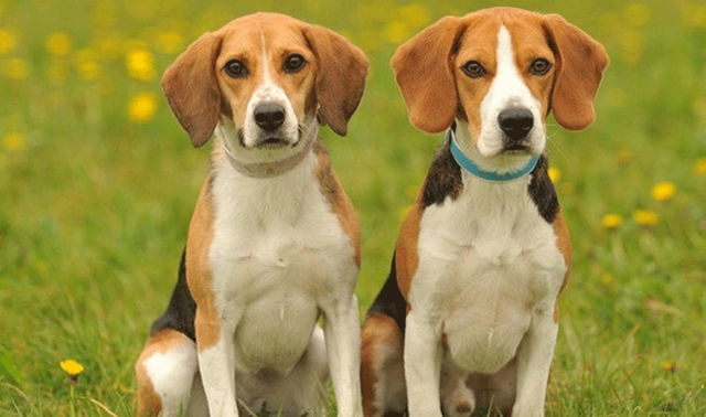 tu vi tuan moi 811 den 14112021 tuoi tuat tran day may man