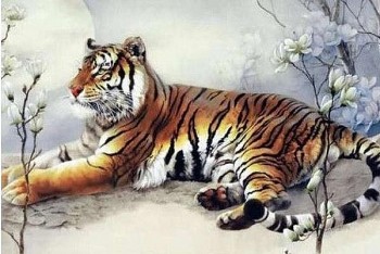 tu vi tuoi dan cong viec tinh yeu suc khoe tuan moi 1511 den 21112021