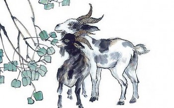 tu vi tuan moi 2211 den 28112021 tuoi mui kho khan ap den