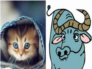 nhung con giap xui xeo nhat tuan 29 512 rac roi tu tinh yeu den cong viec