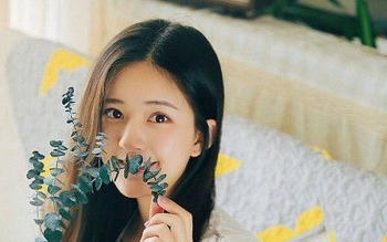 tu vi chiem tinh ngay moi 3122020 ve tinh yeu cua 12 con giap mao tinh cam hoa hop