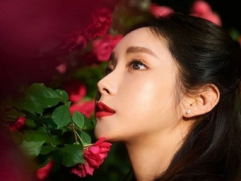 tu vi chiem tinh hom nay 11122020 ve cong viec cua 12 con giap mao co co hoi tot gia tang thu nhap