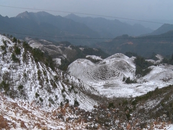 thoi tiet dem 16 ngay 1712 bac bo chim trong ret dam nhiet do that nhat co noi xuong 1 do c
