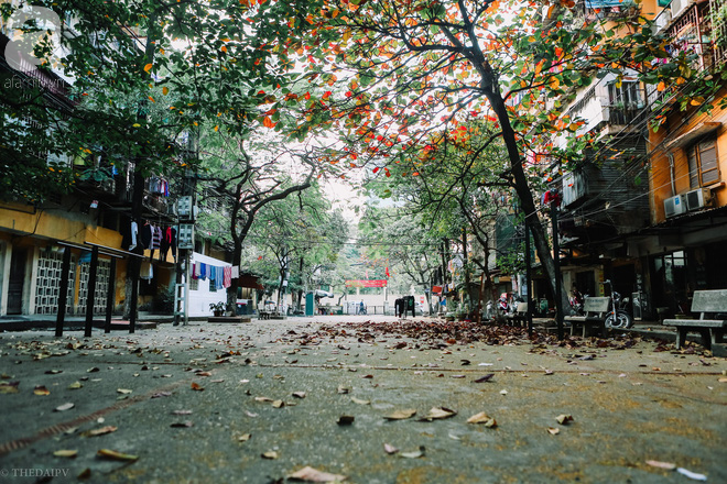 thoi tiet 2312 bac bo troi nang trung bo va nam bo mua lon