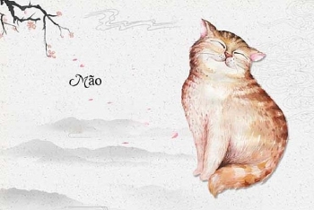 tu vi tuoi mao nam tan suu 2021 su nghiep va suc khoe bat loi tinh cam len huong