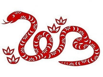 tu vi tuoi ty nam tan suu 2021 bao hieu mot nam may man tai loc
