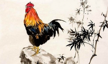 tu vi tuoi dau nam tan suu 2021 mo ra nhieu co hoi kiem tien moi