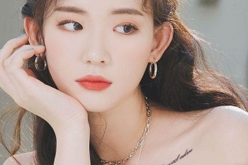 tu vi chiem tinh hom nay 29122020 ve cong viec cua 12 con giap mao cong viec hanh thong thuan loi