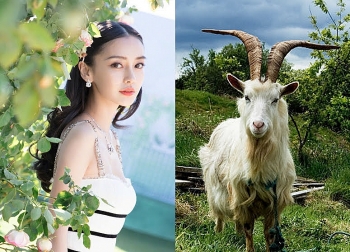 tu vi tuoi mui tai chinh cong viec suc khoe thang 12021