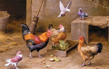 tu vi tuan moi 612 den 12122021 tuoi dau kho truoc suong sau