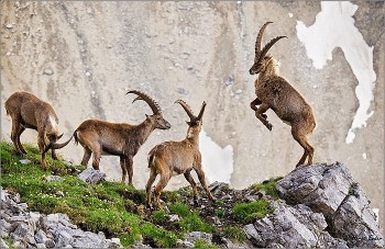 tu vi tuan moi 1312 den 19122021 tuoi mui thang tram bat on