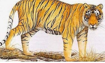 tu vi tuoi dan cong viec tinh yeu suc khoe tuan moi 1312 den 19122021