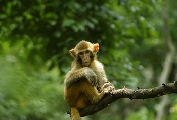 tu vi tuoi than suc khoe cong viec tinh yeu tuan moi 1312 den 19122021