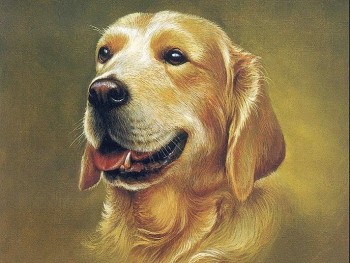 tu vi tuan moi 1312 den 19122021 tuoi tuat kinh doanh troi chay tien bac gia tang