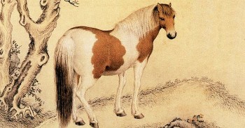 tu vi tuan moi 1312 den 19122021 tuoi ngo hung tinh deo bam