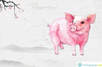 tu vi tuan moi 1312 den 19122021 tuoi hoi co co hoi thang tien