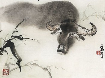 tu vi tuan moi 1312 den 19122021 tuoi suu may man bua vay suot tuan