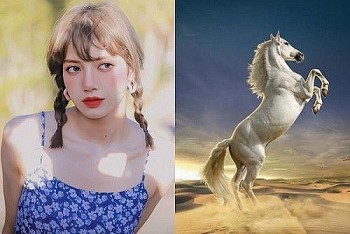 tu vi tuan moi 2012 den 26122021 tuoi ngo mau thuan voi cap tren