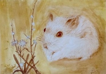 tu vi tuoi ty cong viec suc khoe tinh yeu tuan moi 27122021 den 212022