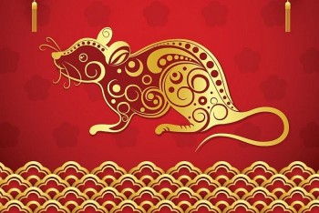 tu vi tuoi ty thang 12022 van khi hanh thong muu su suon se