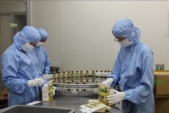 Dược liệu Việt Nam có tiềm năng lớn tại thị trường Nhật Bản