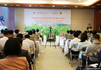 mo rong co hoi xuat khau tra lai chau sang khu vuc trung dong bac phi va nam a