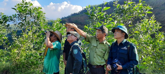 Tam Mỹ Tây